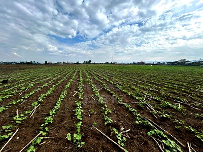 Nakuru Greensteds 1acres Blocks - Image 7
