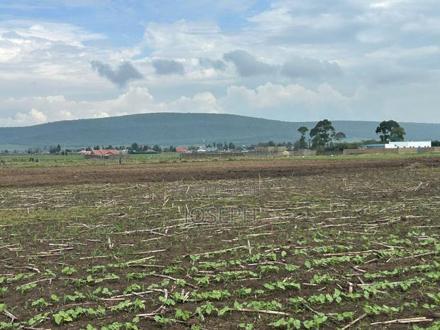 Nakuru Greensteds 1acres Blocks