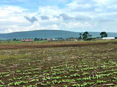 Nakuru Greensteds 1acres Blocks - Image 4