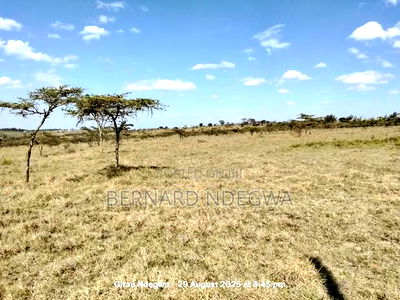 Flexible Sale: From 1 Acre to 1000 - Image 1