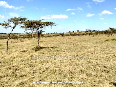 Flexible Sale: From 1 Acre to 1000 - Image 6