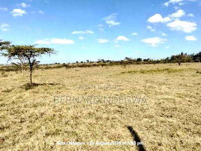 Flexible Sale: From 1 Acre to 1000 - Image 4