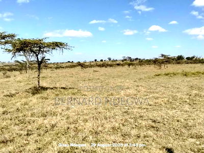 Flexible Sale: From 1 Acre to 1000 - Image 5