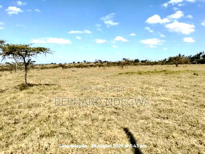 Flexible Sale: From 1 Acre to 1000 - Image 2