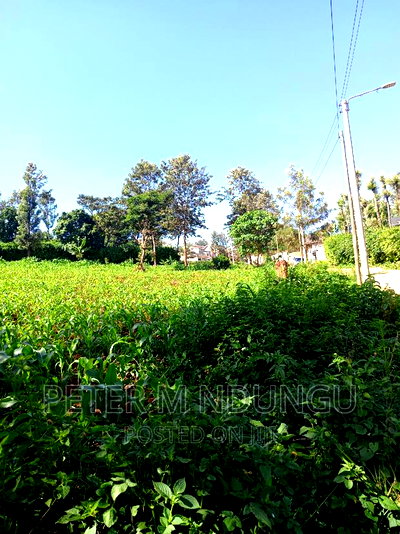 Prime 1/2 Acre on Sale, Thome 1 - Image 7