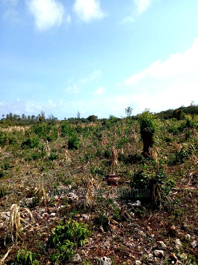 For Sale 16 Acres 4th Raw Beach North Coast - Image 4