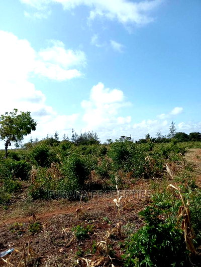 For Sale 16 Acres 4th Raw Beach North Coast - Image 8