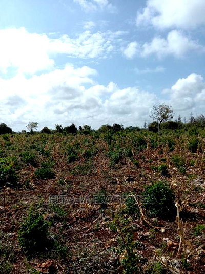 For Sale 16 Acres 4th Raw Beach North Coast - Image 5