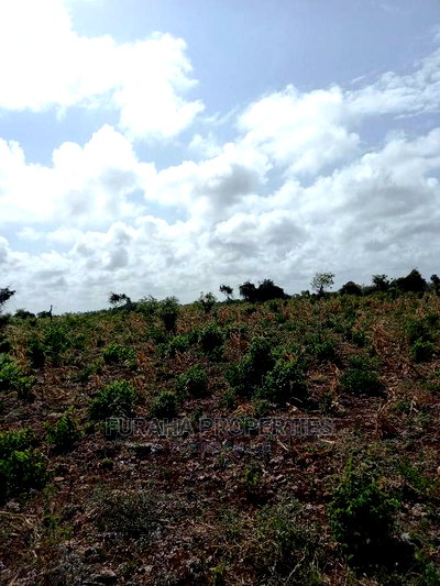 For Sale 16 Acres 4th Raw Beach North Coast - Image 7