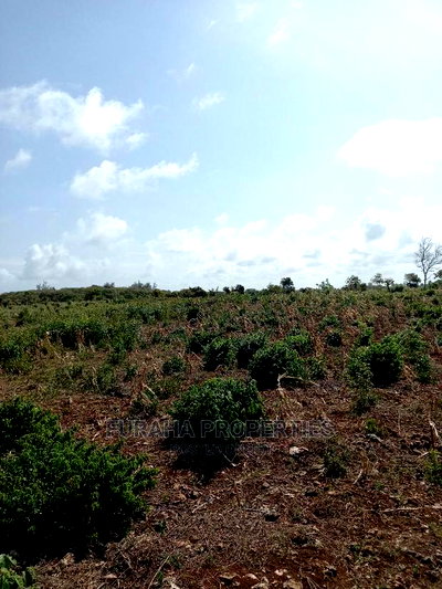 For Sale 16 Acres 4th Raw Beach North Coast - Image 6