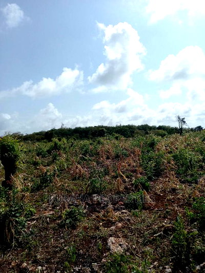 For Sale 16 Acres 4th Raw Beach North Coast - Image 2