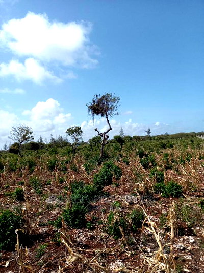 For Sale 16 Acres 4th Raw Beach North Coast - Image 3