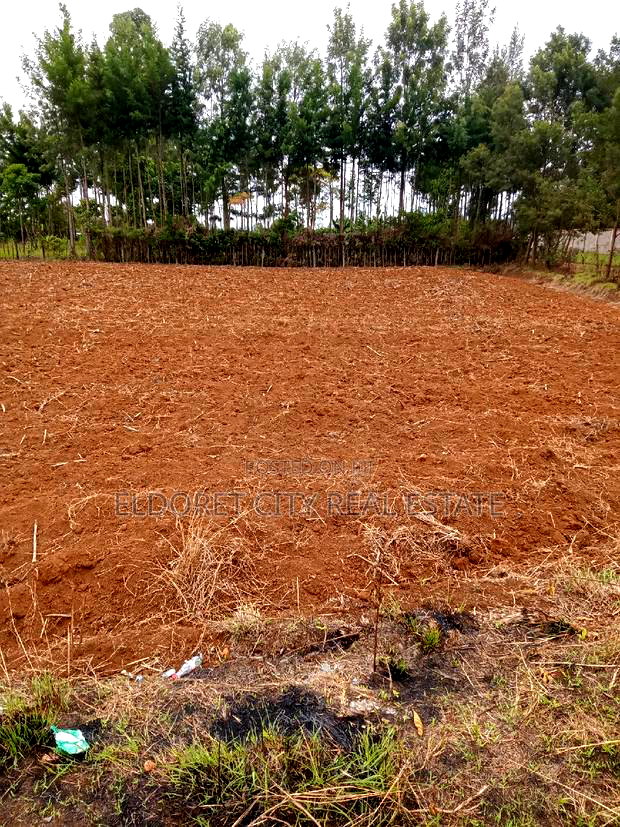 1/2 Acre Elgonview Upper