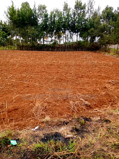 1/2 Acre Elgonview Upper - Image 2