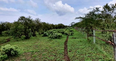 1001 Acres in Naivasha for KSh 34M