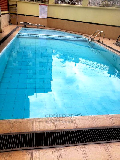 2bdrm Apartment in Kilimani for rent - Image 13