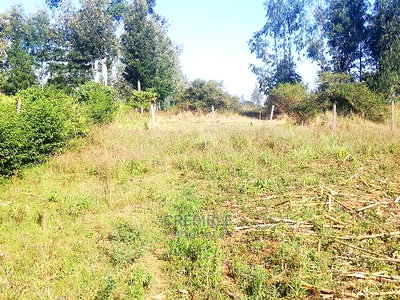 Affordable Plot at Tabuga Lanet for Sale. - Image 4