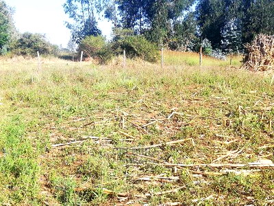 Affordable Plot at Tabuga Lanet for Sale. - Image 2