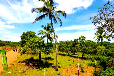 Diani Muhaka 50*100 Plots for Sale - Image 3