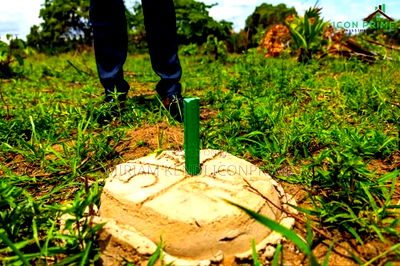 Diani Muhaka 50*100 Plots for Sale - Image 1