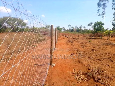 Prime 50*100ft Plots for Sale in Kilifi Tezo - Image 2
