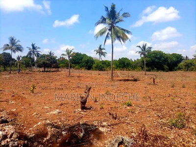 Prime 50*100ft Plots for Sale in Kilifi Tezo - Image 6