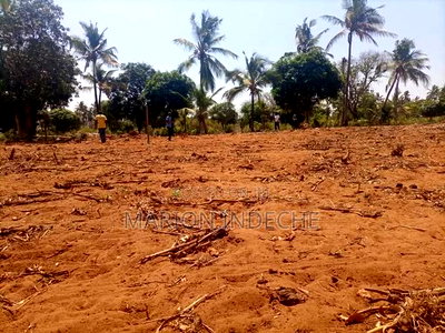 Prime 50*100ft Plots for Sale in Kilifi Tezo - Image 1