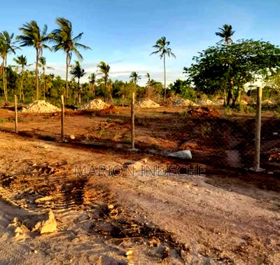 Prime 50*100ft Plots for Sale in Kilifi Tezo - Image 8