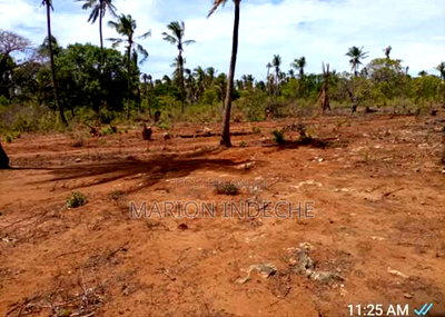 Prime 50*100ft Plots for Sale in Kilifi Tezo - Image 5