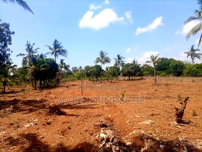Prime 50*100ft Plots for Sale in Kilifi Tezo - Image 7