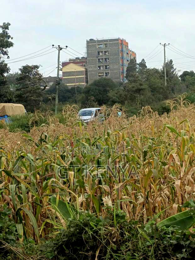 0.5 Acre Plot Kasarani for Sale