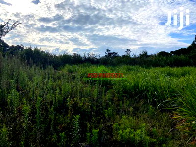 Prime Land for Sale in Limuru, Kamandura. - Image 6