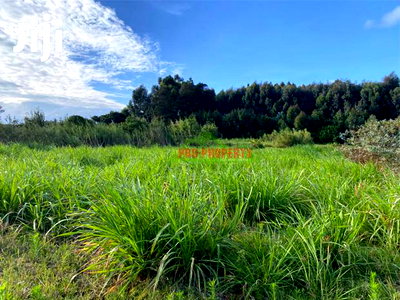 Prime Land for Sale in Limuru, Kamandura. - Image 8