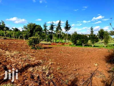 Prime Land for Sale in Limuru, Kamandura. - Image 9