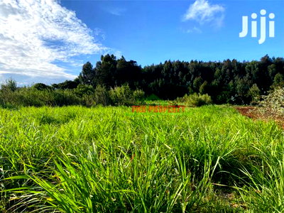 Prime Land for Sale in Limuru, Kamandura. - Image 11