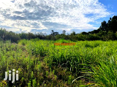 Prime Land for Sale in Limuru, Kamandura. - Image 13