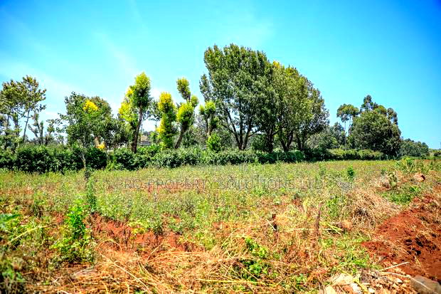 Residential Serviced Plots in Kikuyu, Ondiri