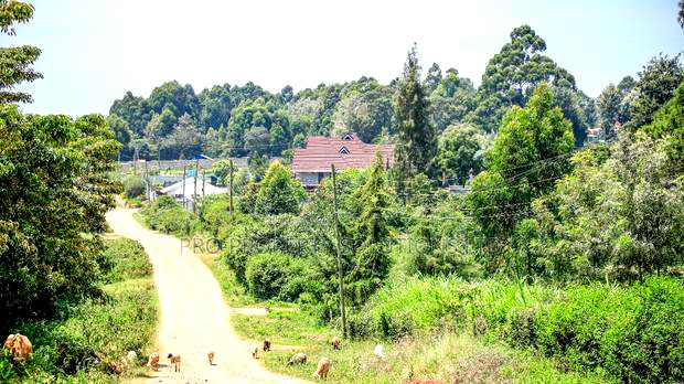 Residential Serviced Plots in Kikuyu, Ondiri