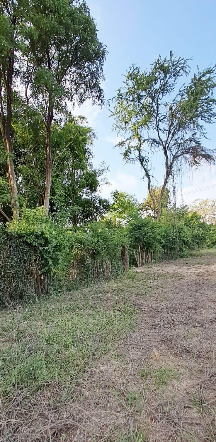 Quarter Acre Plot for KSh 7M