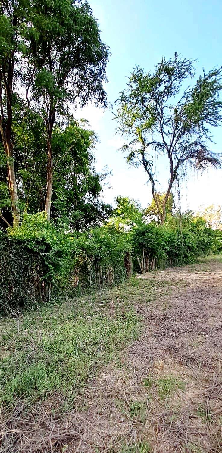 Quarter Acre Plot for KSh 7M