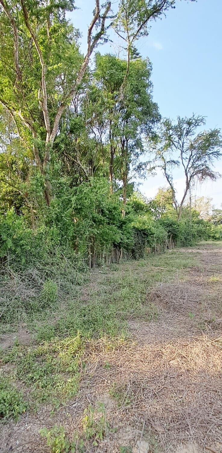Quarter Acre Plot for KSh 7M