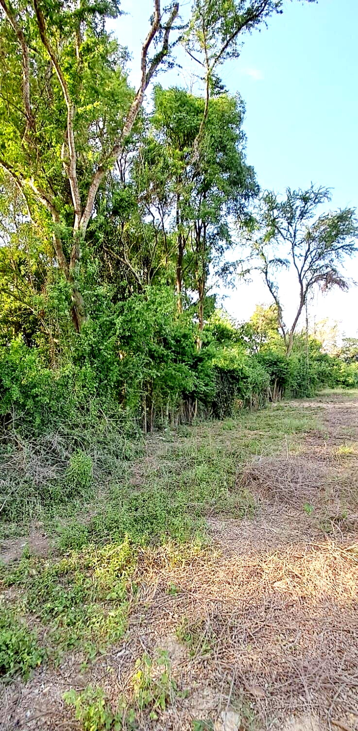 Quarter Acre Plot for KSh 7M