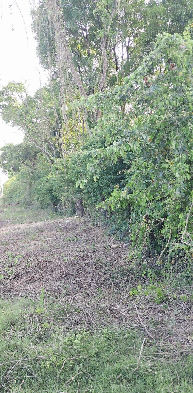 Quarter Acre Plot for KSh 7M