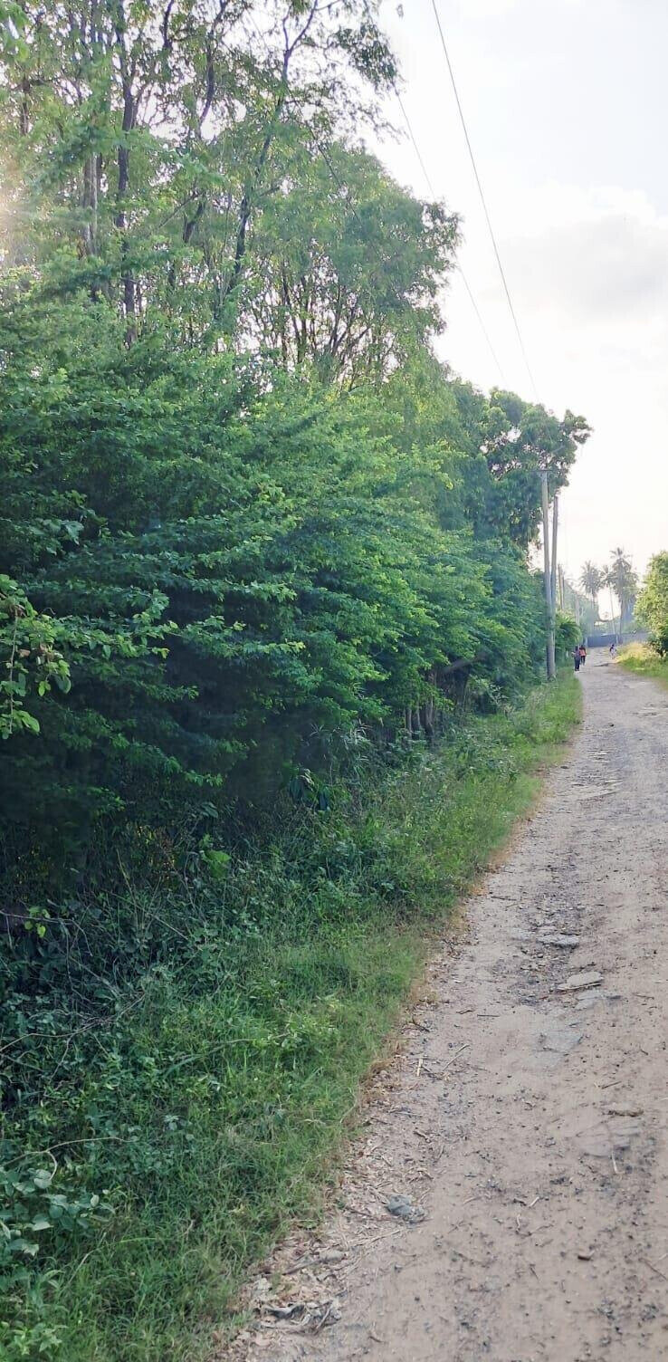 Quarter Acre Plot for KSh 7M