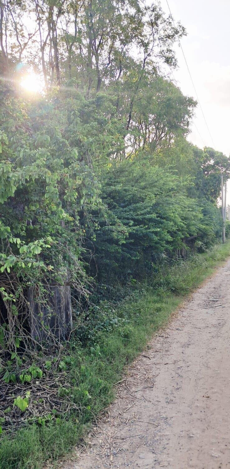Quarter Acre Plot for KSh 7M
