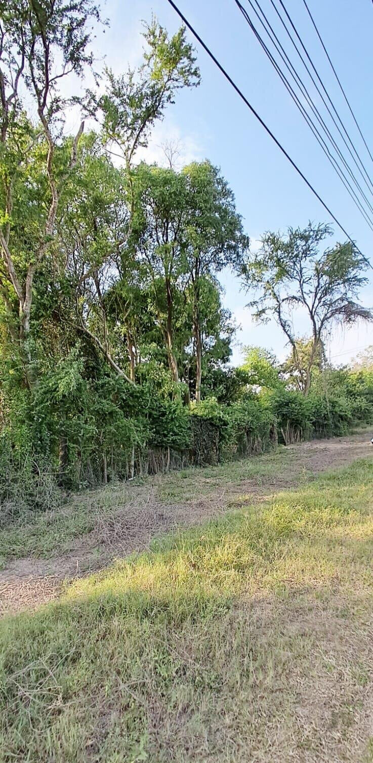 Quarter Acre Plot for KSh 7M