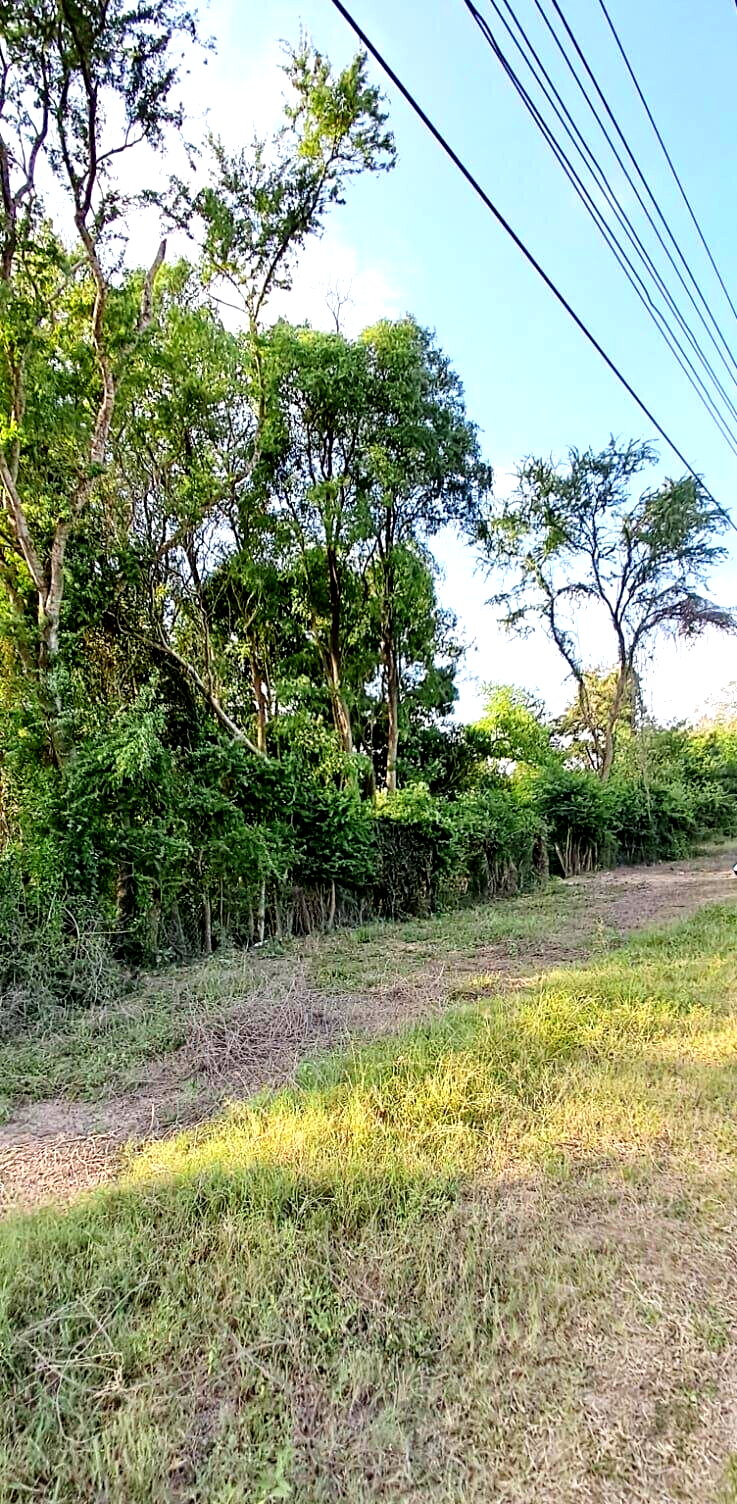 Quarter Acre Plot for KSh 7M