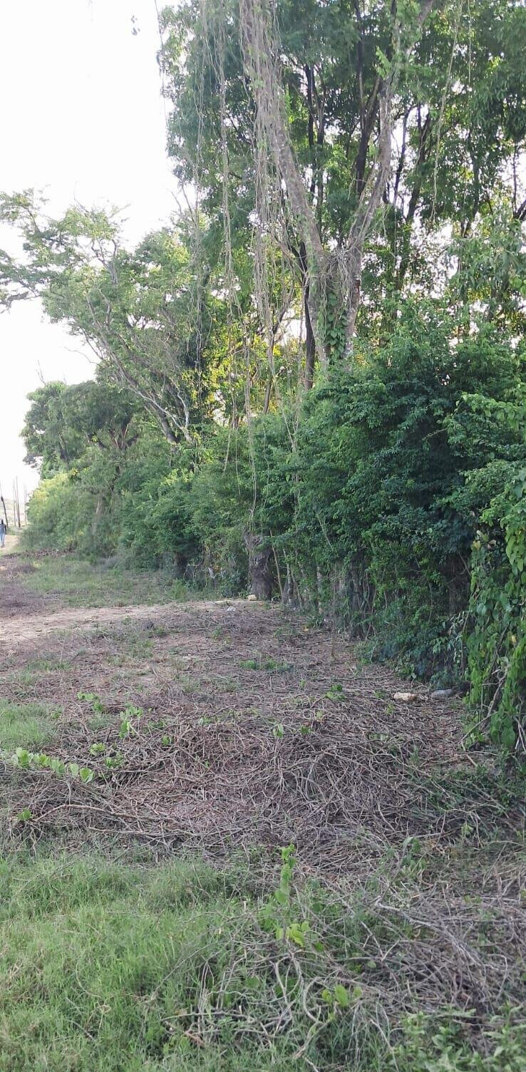 Quarter Acre Plot for KSh 7M