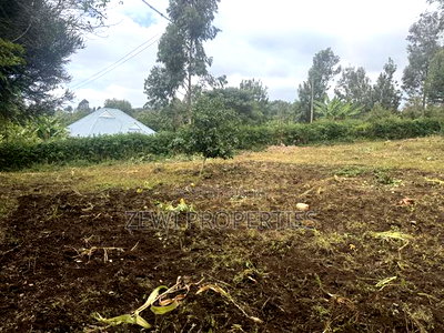 Eighth Olkeri - Image 3