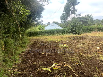 Eighth Olkeri - Image 2